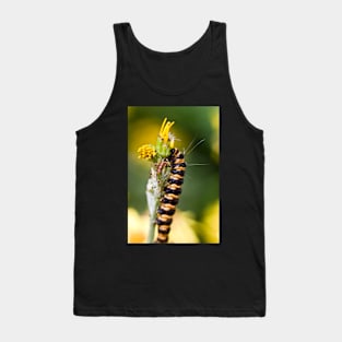 Orange and black striped caterpillar (Cinnabar moth) Tank Top